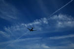 IMG_3179.jpg