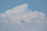 IMG_4216.jpg