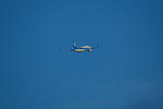 IMG_4250.jpg