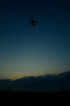 IMG_4256.jpg