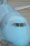 IMG_6582.jpg