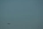 IMG_8711.jpg