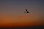 IMG_8823.jpg