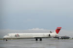 IMG_8884.jpg