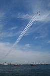 IMG_7239.jpg
