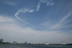 IMG_7271.jpg