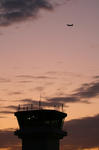 IMG_2870.jpg