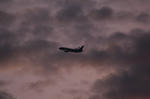 IMG_2876.jpg