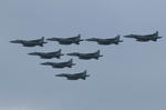 IMG_5080.jpg