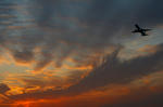 IMG_4368.jpg