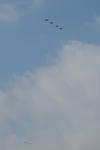 IMG_9431.jpg