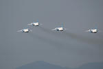 IMG_9568.jpg