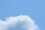 IMG_6255.jpg