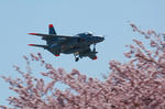 090409ng01.jpg