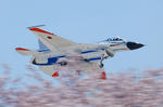 090409ng03.jpg