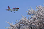 090409ng04.jpg