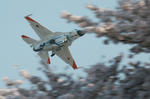 090409ng08.jpg