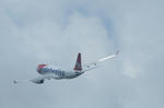 IMG_9972.jpg