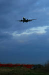 IMG_8456.jpg