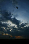 IMG_8471.jpg
