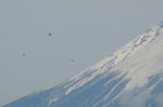IMG_2407.jpg
