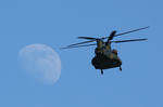 IMG_5121.jpg