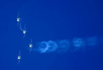 070824oh05.jpg