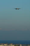 IMG_0183.jpg