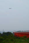 IMG_2393.jpg