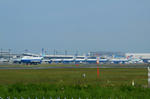 IMG_5007.jpg