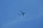 IMG_5248.jpg