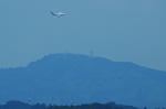 IMG_5262.jpg