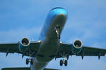 IMG_6296.jpg