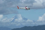 IMG_2286.jpg