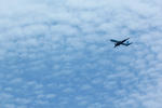 IMG_3072.jpg
