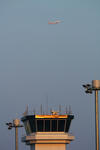 IMG_4079.jpg