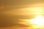 IMG_4947.jpg
