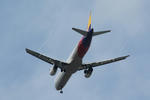 IMG_5361.jpg