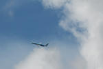 IMG_5385.jpg