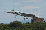 IMG_5575.jpg