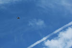 IMG_7389.jpg