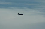 IMG_7446.jpg