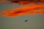 IMG_7505.jpg