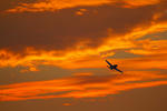 IMG_8670.jpg