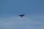 IMG_9143.jpg