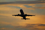 IMG_8323.jpg