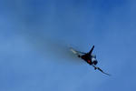 IMG_9288.jpg