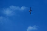 IMG_9332.jpg