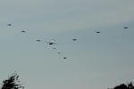 IMG_9582.jpg