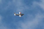 IMG_1548.jpg